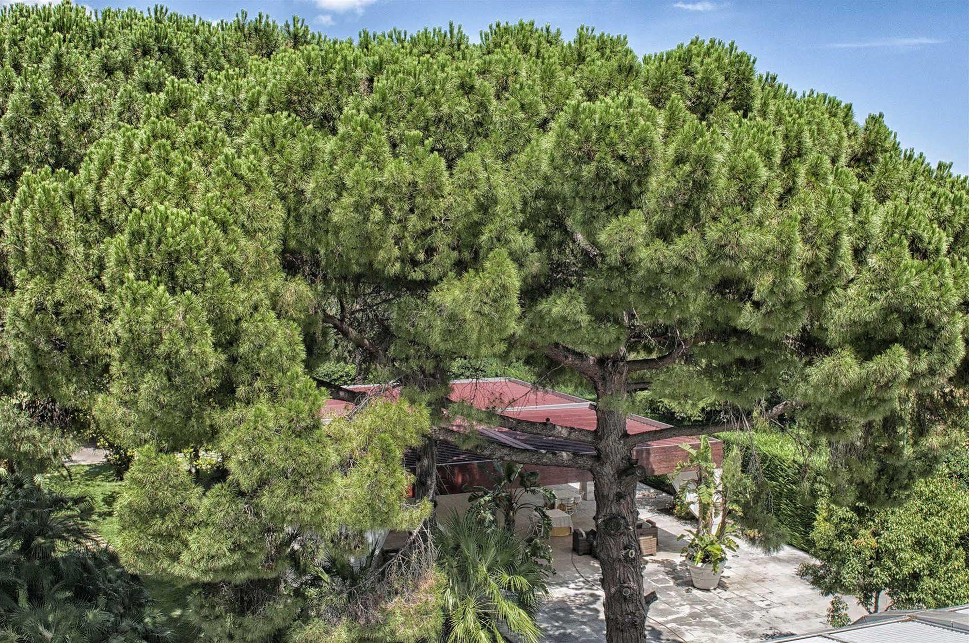 Garden Hotel Molfetta Buitenkant foto