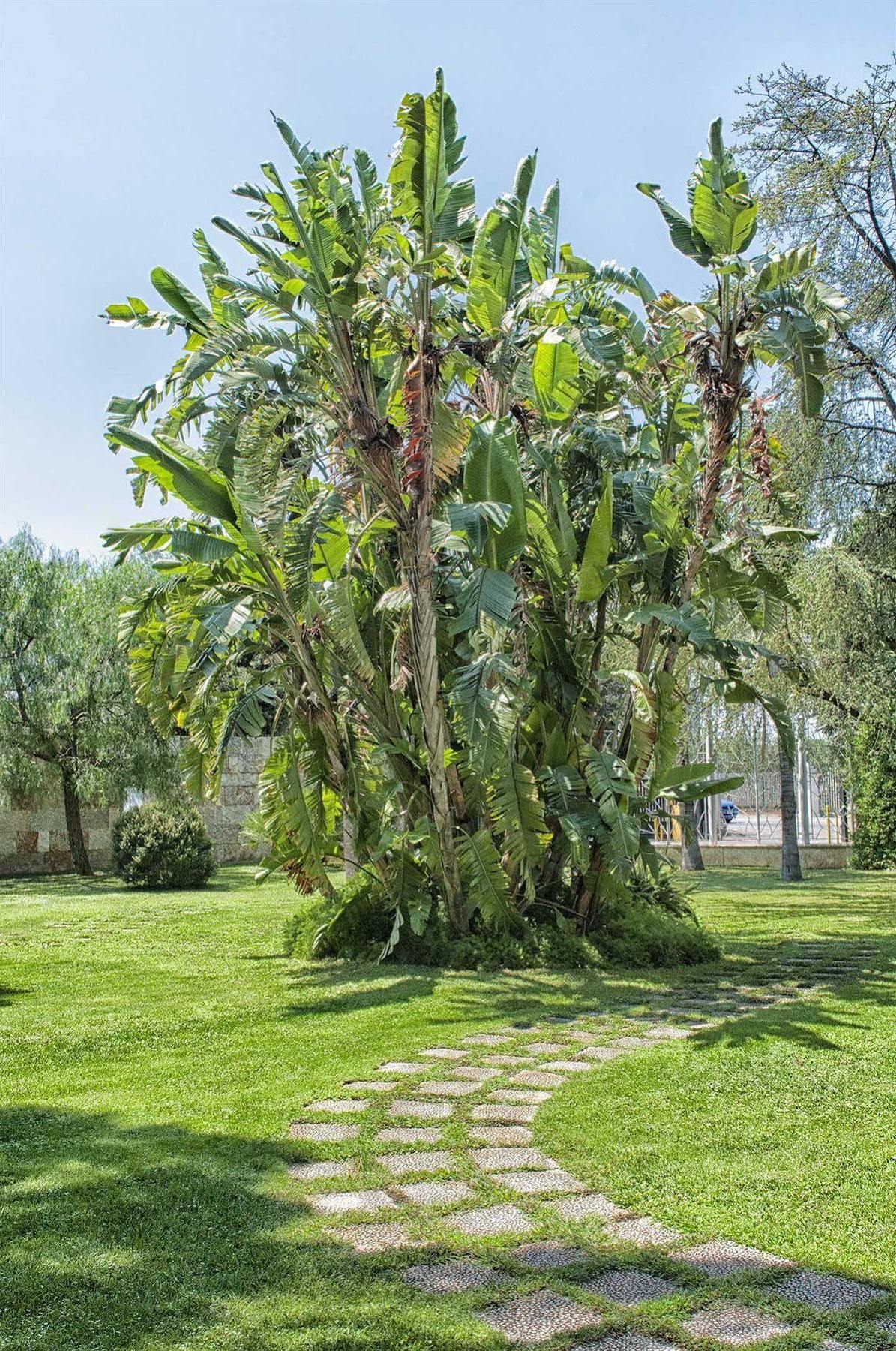 Garden Hotel Molfetta Buitenkant foto